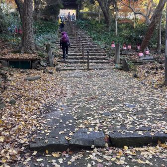 階段を登って山の上の定光寺へ
