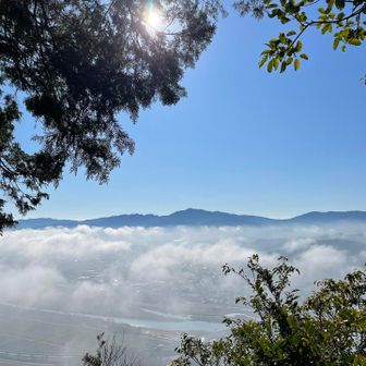 高地に来たみたい😃