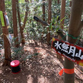 三日月山を迂回して水無月山へ