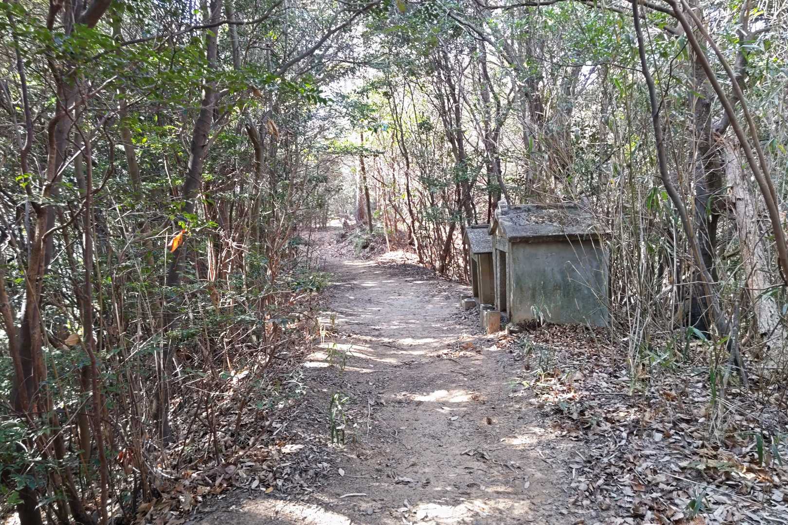 大師山-三ヶ岳 往復コースの写真