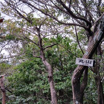 この先に立岩、向岩が見えるポイントと、そこに向かう鎖場があるらしいが。