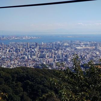 神戸港とポートアイランド
