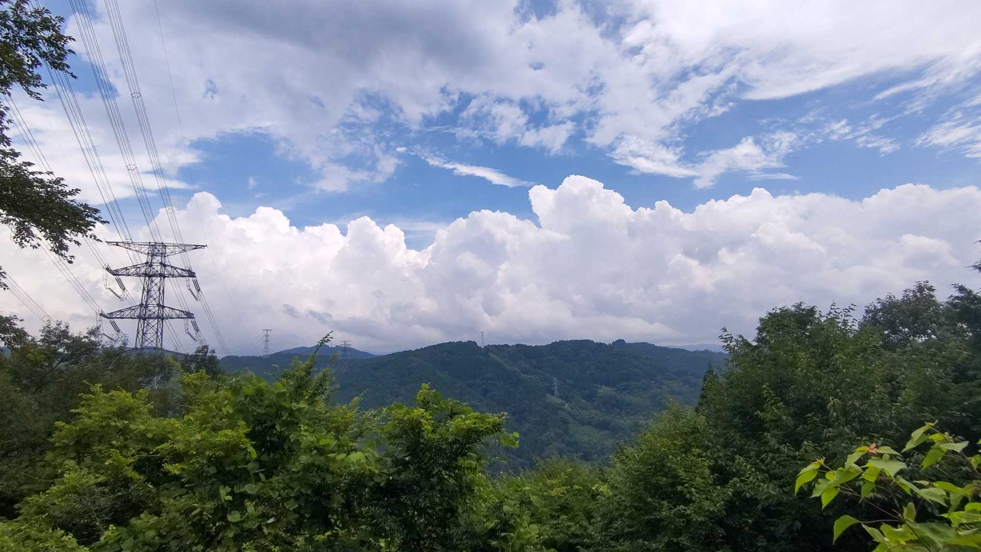 蚕霊山 往復コースの写真