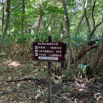 藤本新道分かれ