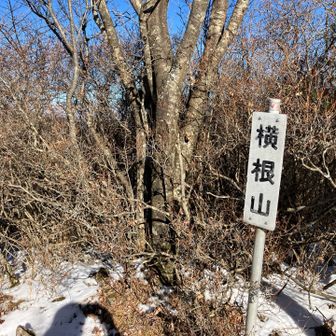 途中は端折るw
が、景色も良いし
気持ち良く歩ける山域です😊

栃木百名山（77/100）
(σ≧▽≦)σ ゲッツ♡