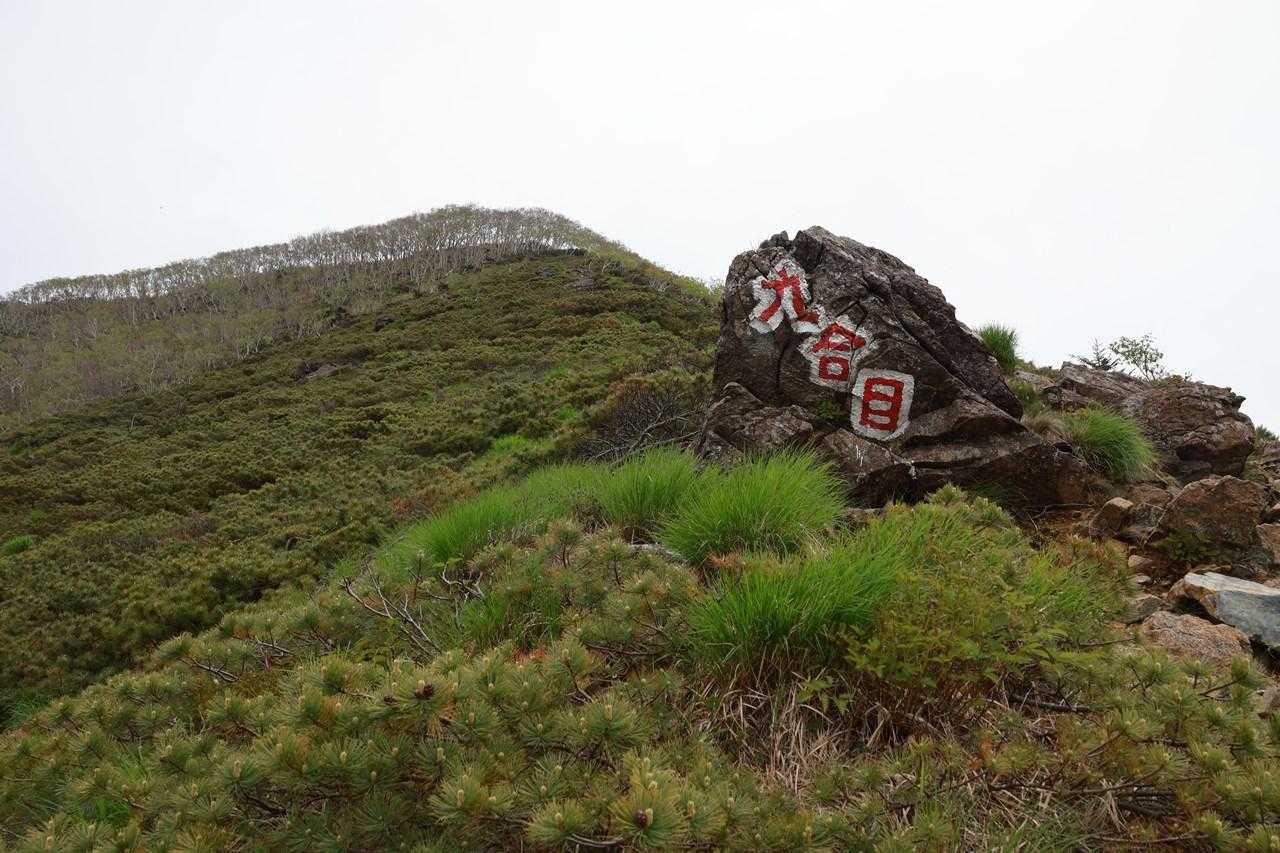 ここからがシンドイ