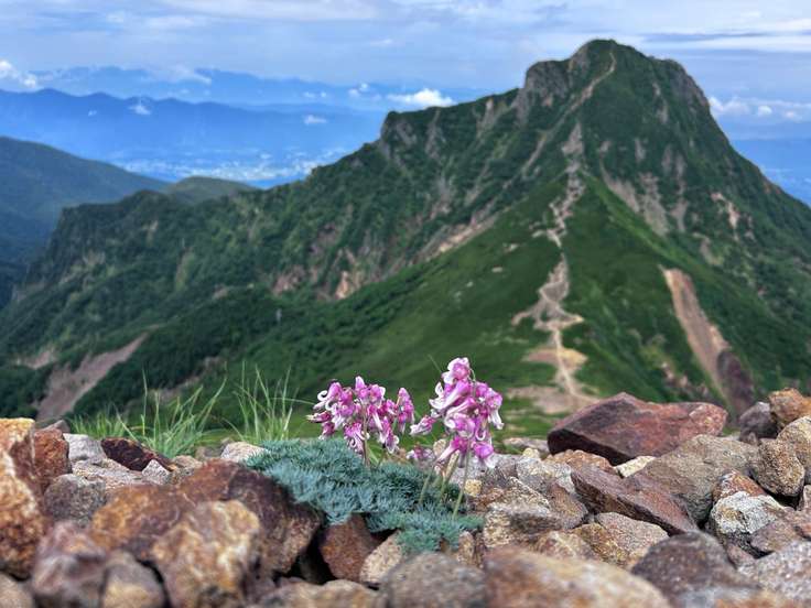 八ヶ岳J＆N🩵阿弥陀＆赤岳 / こまくさ🥀の登山データ | YAMAP / ヤマップ