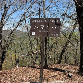 漢字がいいなぁ