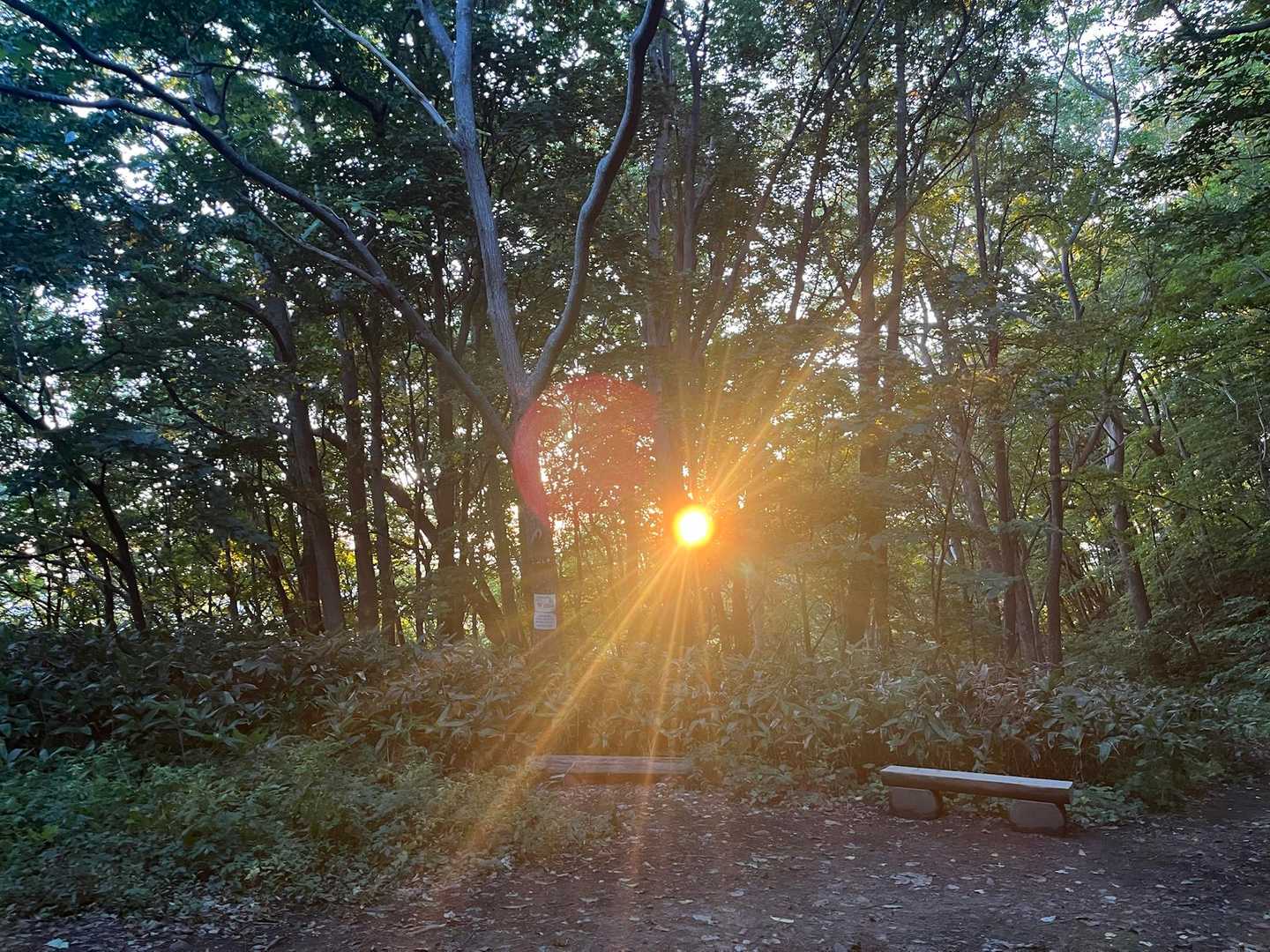 こぶし平で朝日が☀️✨
いい朝でした😆