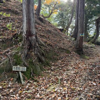 千畳敷を後にします。