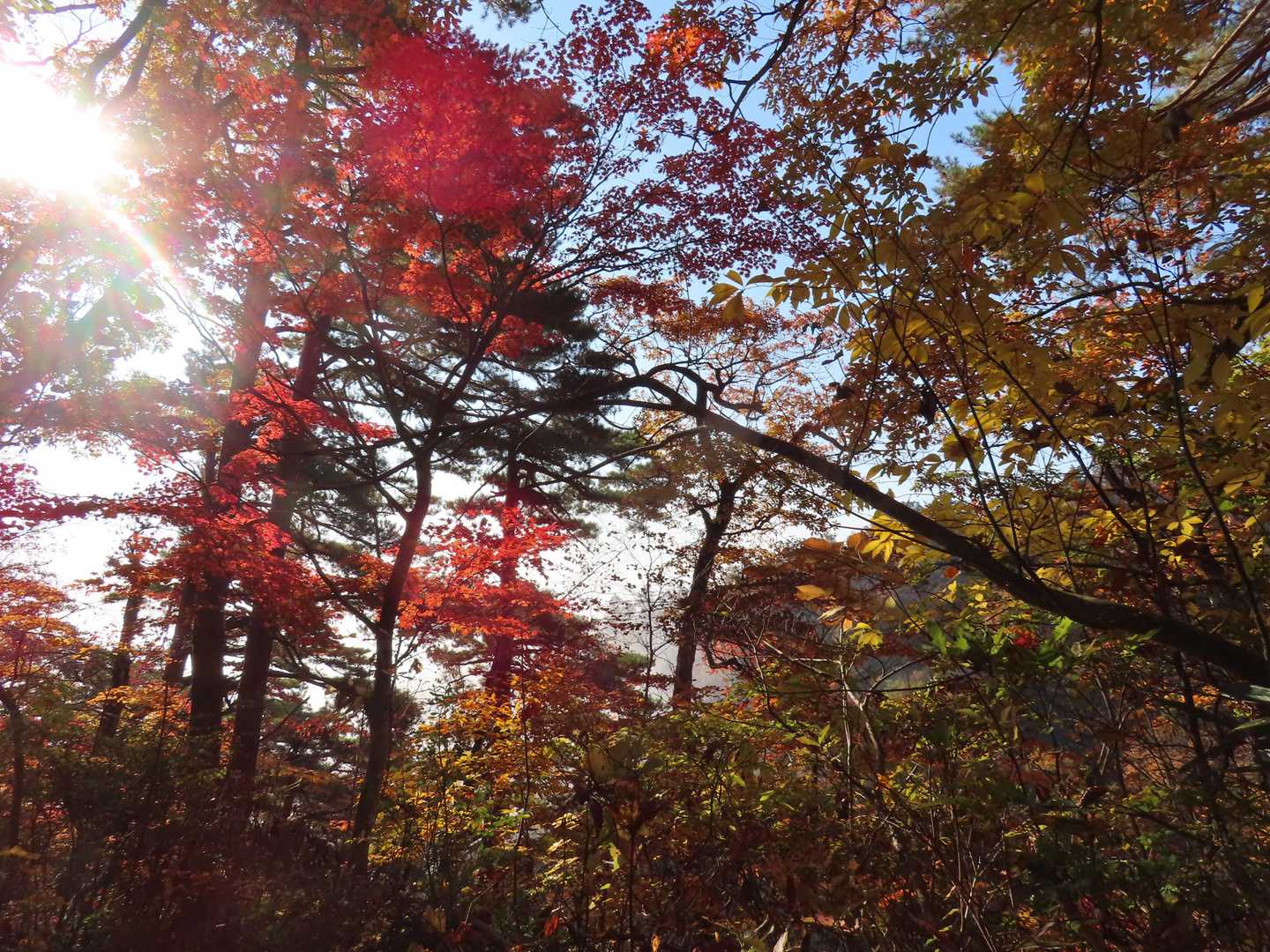 太陽