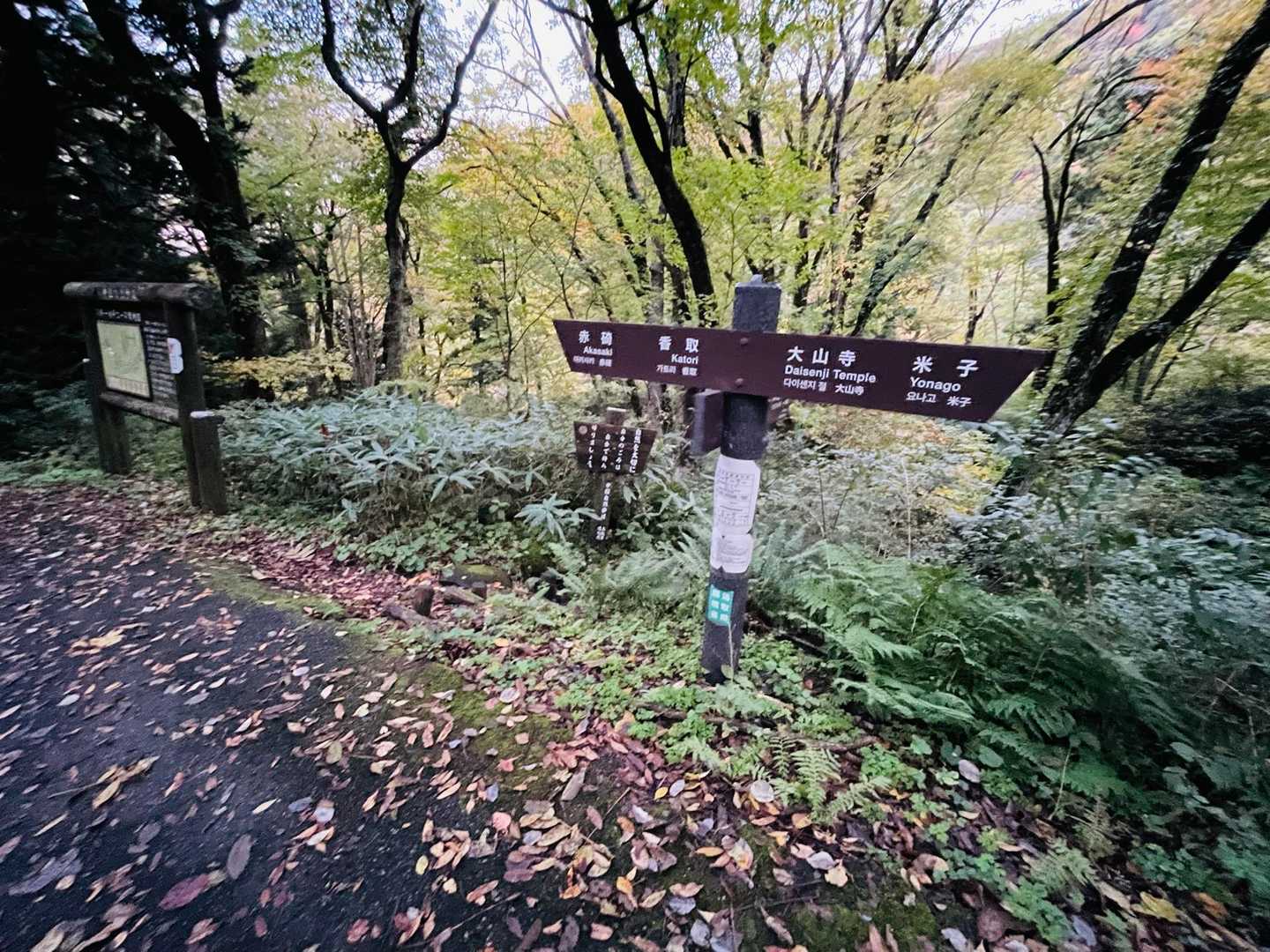 川床登山口-甲ヶ山-矢筈ヶ山-大休峠 周回コースの写真