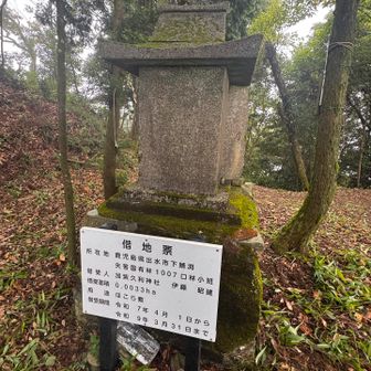 国有林なんだー