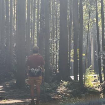 やっと登山口〜
やっぱパノラマピストンがいい😓