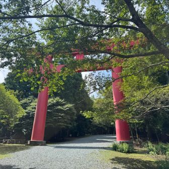 また大きい鳥居⛩️をくぐって　奥の宮へ戻ります🚶🏻‍♀️💨