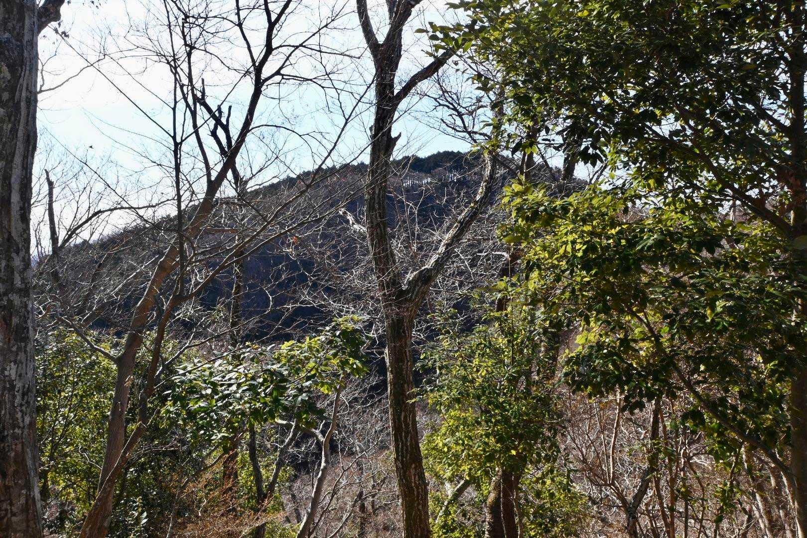 南隣に見えるのは、谷戸ノ頭か。