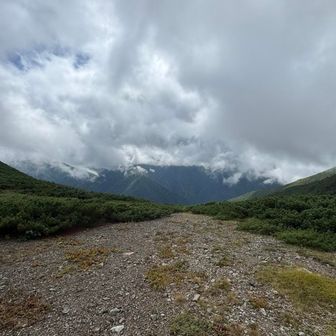 もっと遠くまで見たかった…