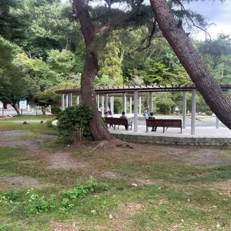 みんな集まって楽しんでます
憩いの場のよう🎶
この先の建物🏢は国際会館なのかなぁ？