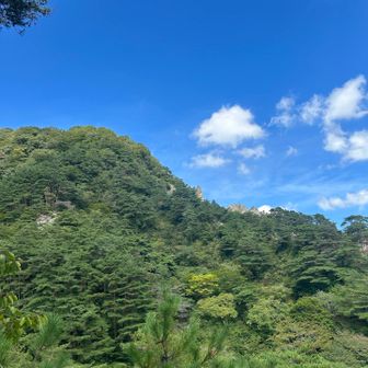登ったお山✨