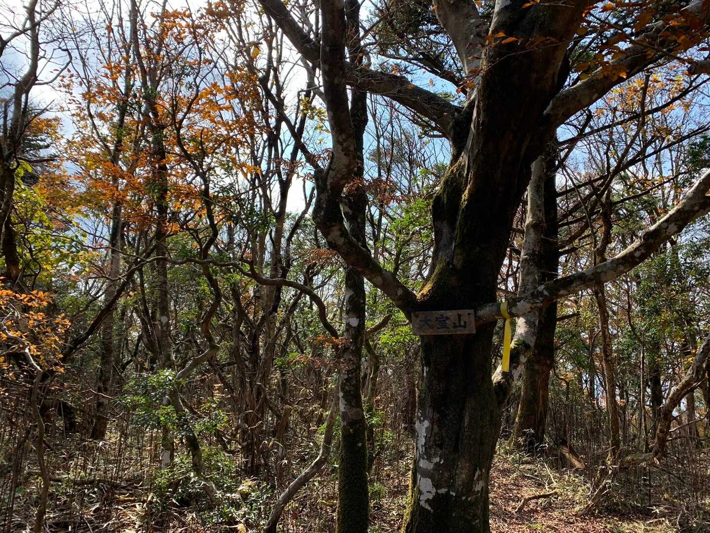 大室山の写真
