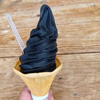 お目当ての石炭ソフトクリーム！マジ美味しい！