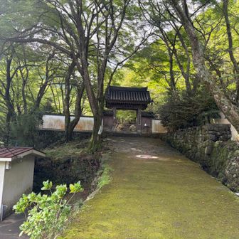 綺麗なお寺です