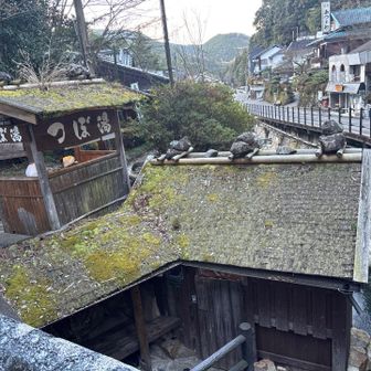 世界遺産「壺湯」