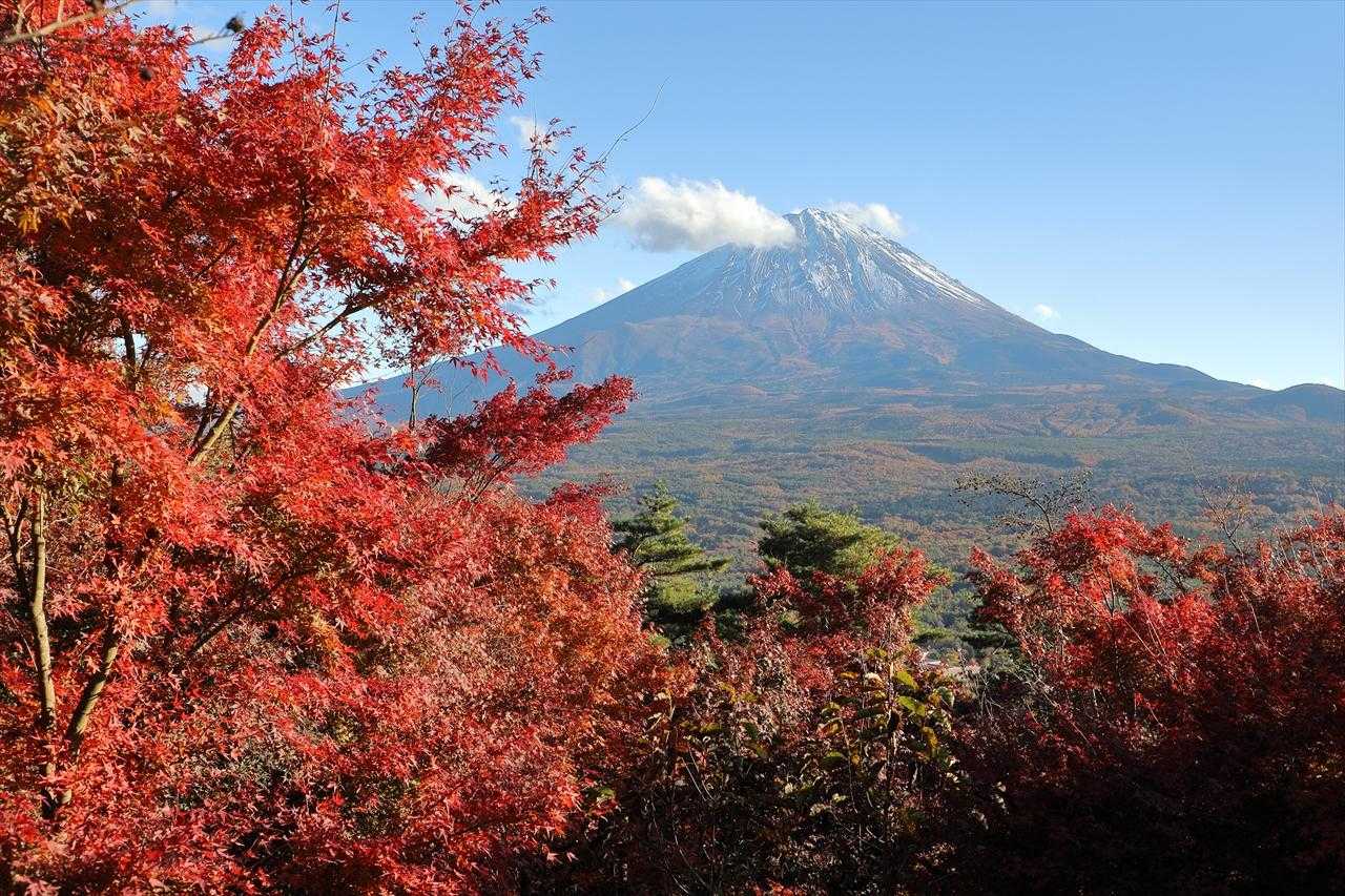 紅葉台展望レストハウスまで来ると付近の木々は紅葉が進んでおりとても鮮やかだった。
紅葉台展望レストハウス屋上の展望台は有料（300円）。
上の写真はレストハウス横から撮ったもので、展望台の屋上に行きたかったが、
三湖台へ行くのが初めてなのでまずはそちらから。