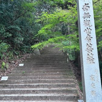 階段は無になって登るべし