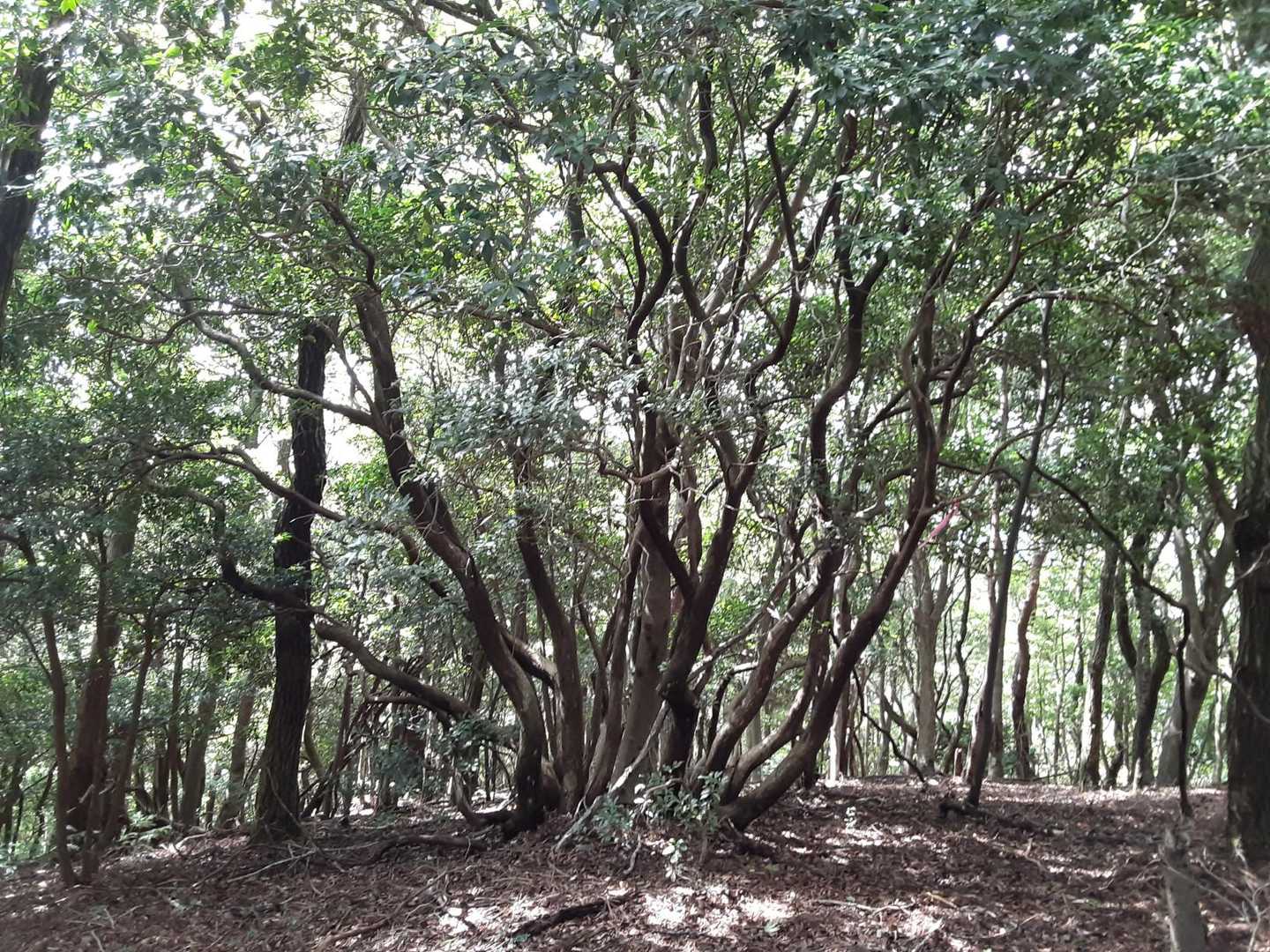 こんなん好き😍