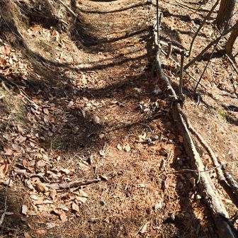 全く雪が残ってなかったので、チェーンアイゼン外してます。