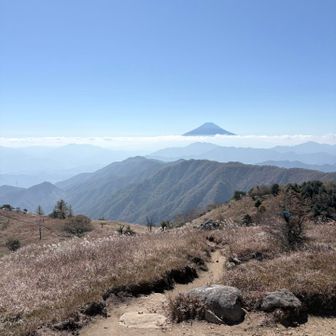 雲海富士🗻