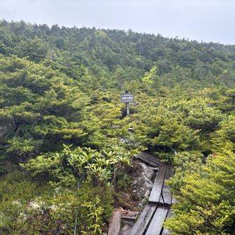 最後まで見どころ満載！