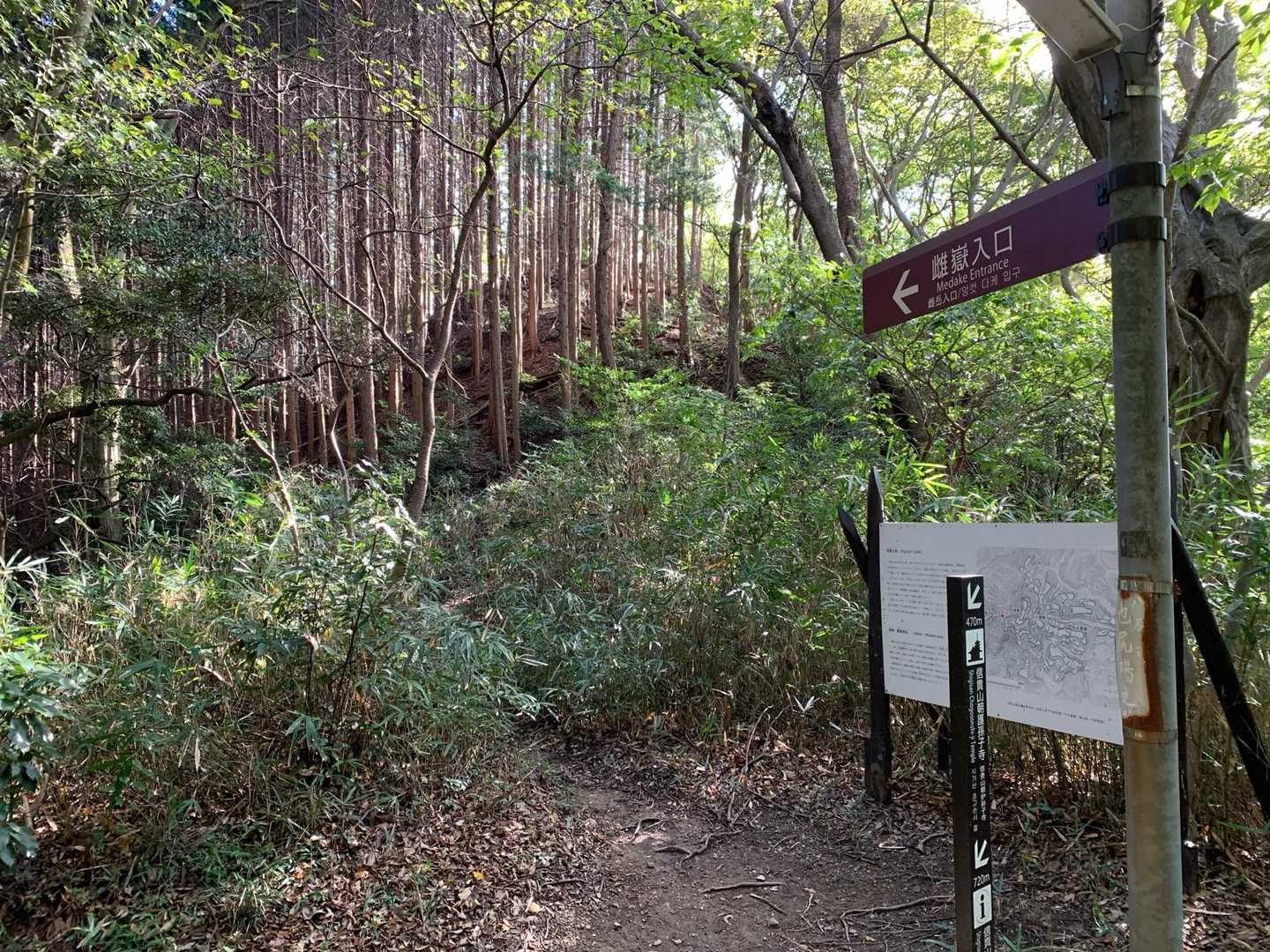 雌嶽の登山口
また、違う外人さんソロが降りて来ました
「こんにちは！」「アリガトウ！」
またまた流暢な日本語