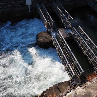 江戸まで届けー