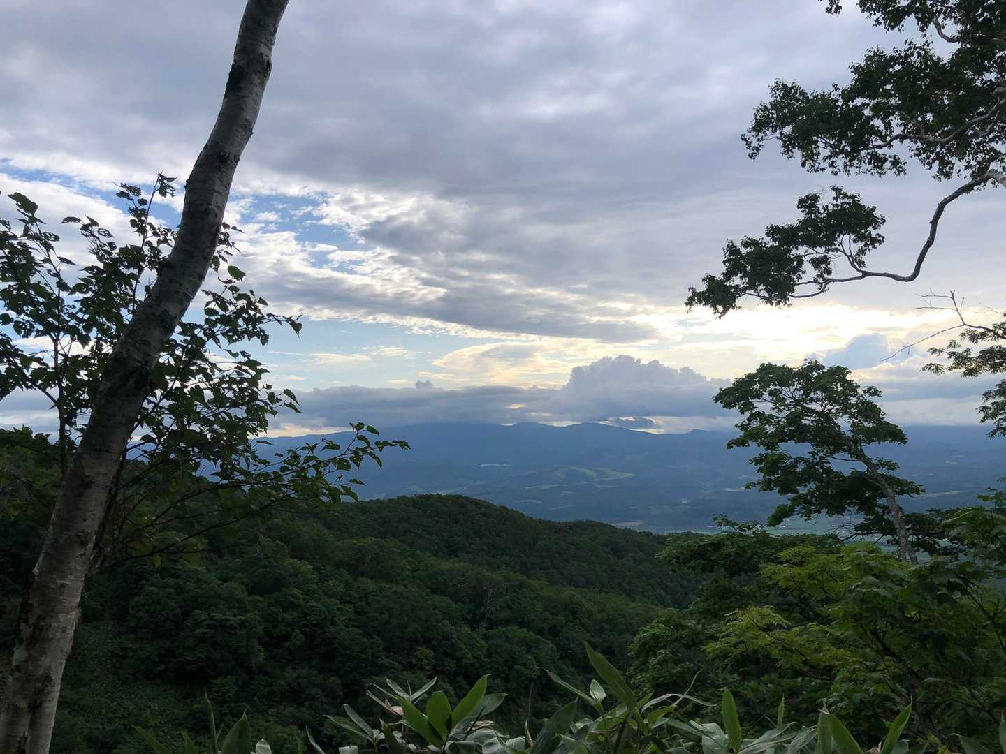 清々しい✨