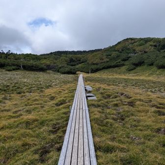 滑走路 所々折れてたり、折れそうな箇所多数w