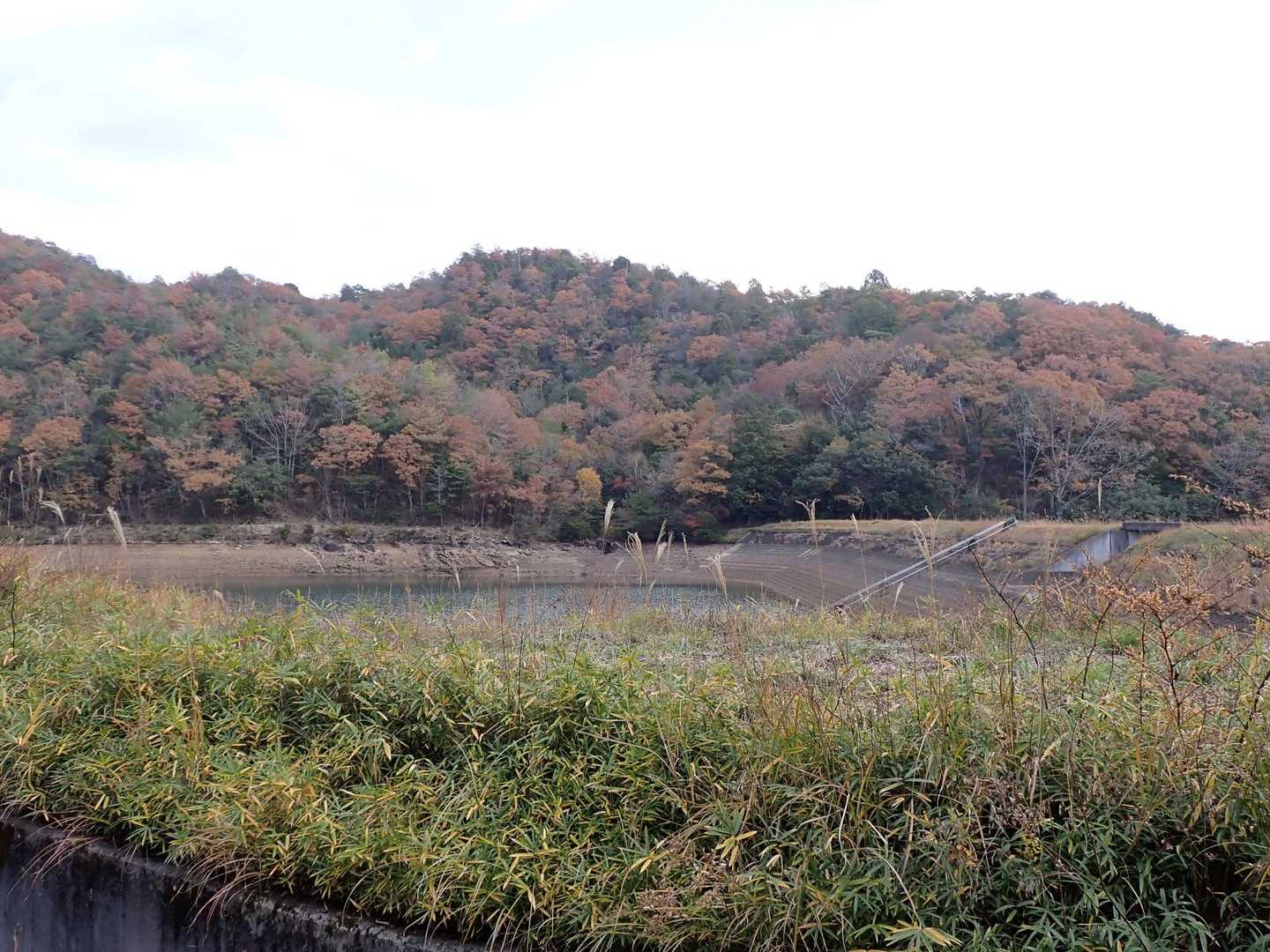 池の横を通り