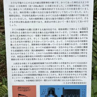 ん⁉️。。。瓦なんか有ったか？？？