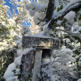 下山時に山頂看板、発見❗
完全に周囲と同化してるから、気づかんわ😅