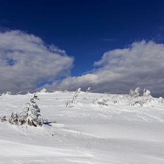 間も無く山頂
強風🌀