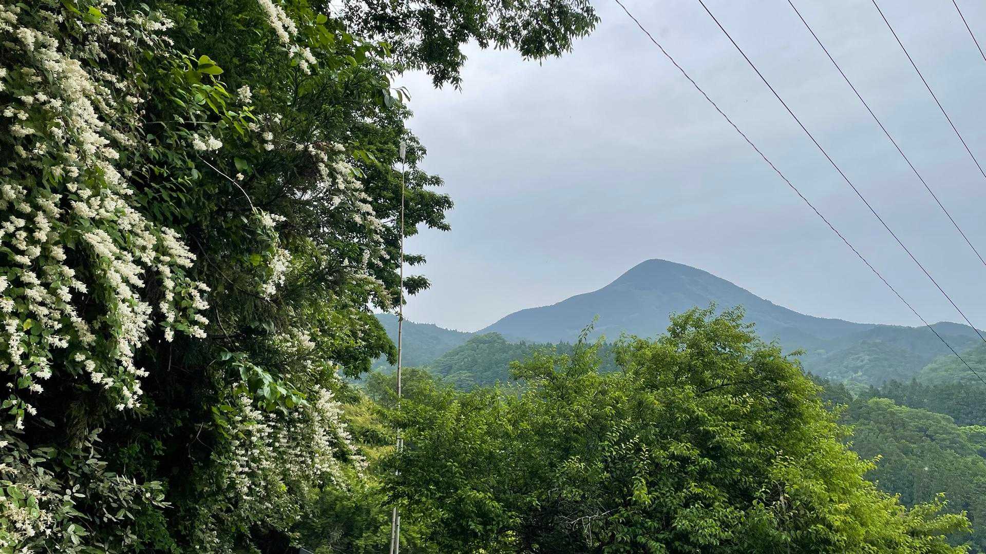 大洞山