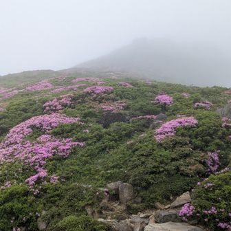 ガスの日も山の姿だとわかってはいても😅