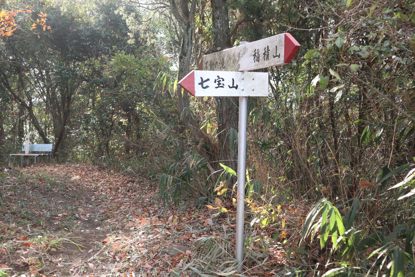 分岐