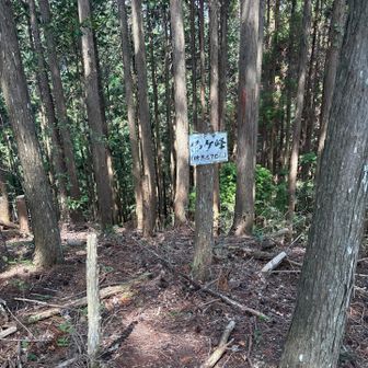 佛ケ峰山頂です。