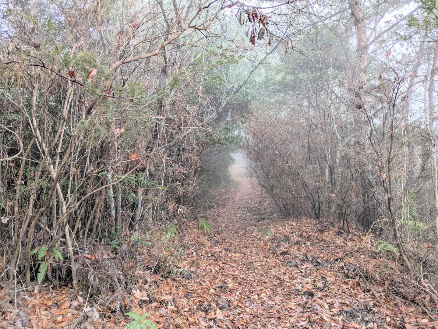 白い中を吸い込まれて行きます👽