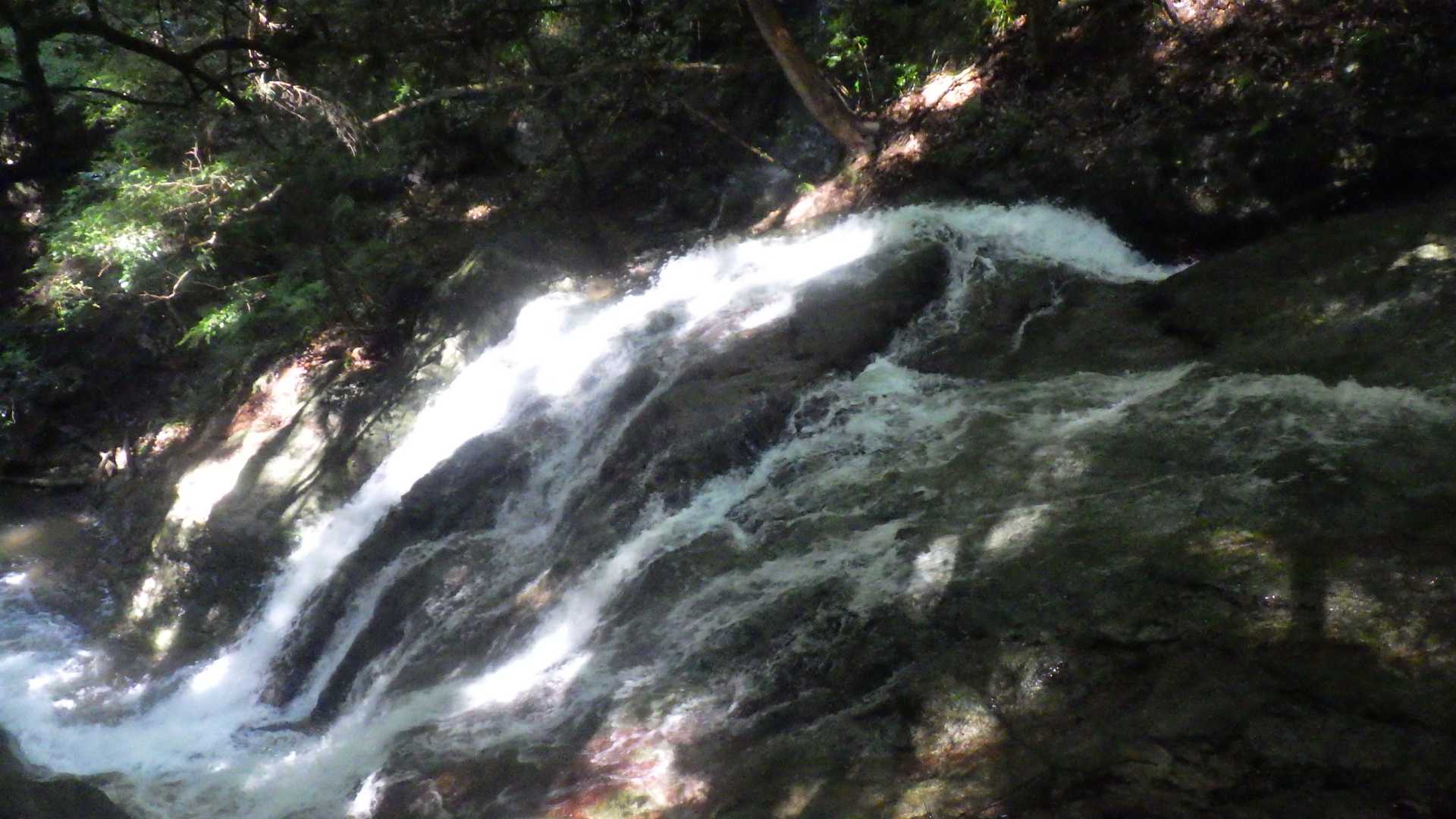 竜門岳 往復コースの写真