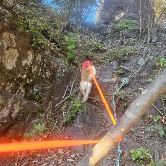 ヤセオネ峠からスタート。
今日は進みが悪かったけど、岩場は燃えます
