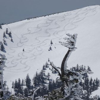 西大巓東斜面は沢山のシュプール（多分ボーダー🤔）