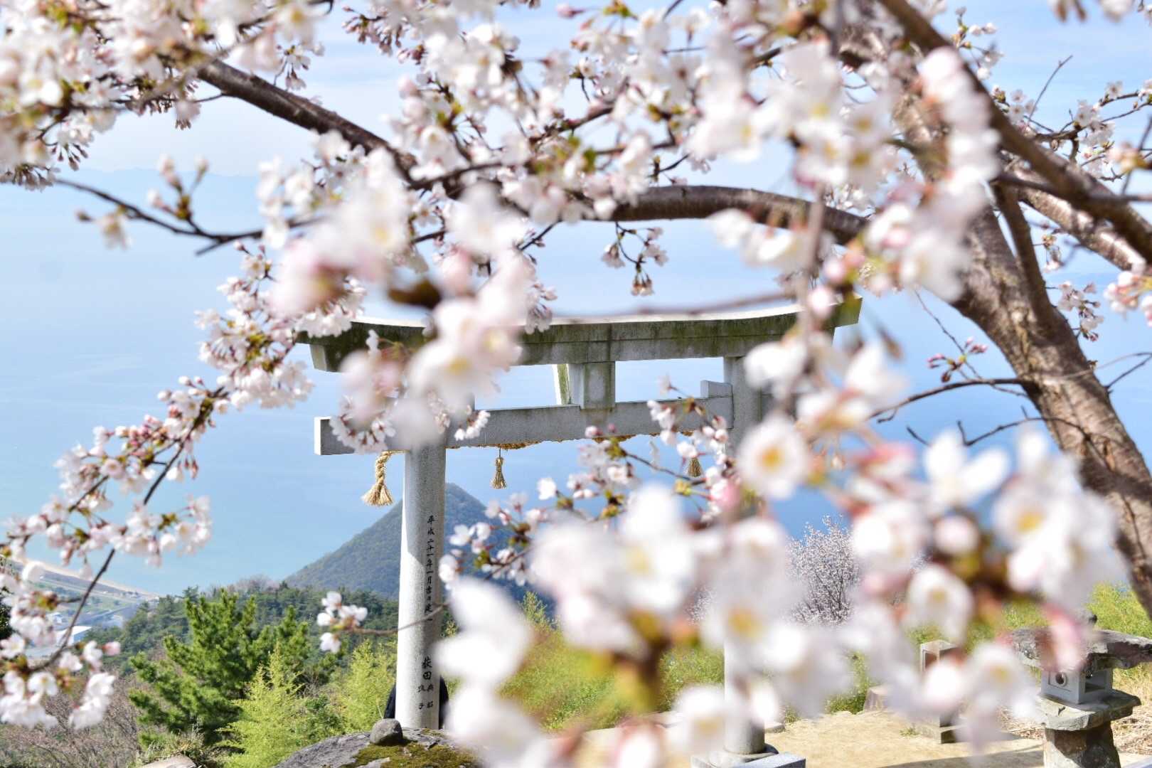 鳥居さんにピントを合わせてみる